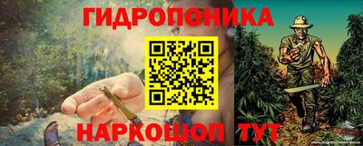 скорость Заволжье
