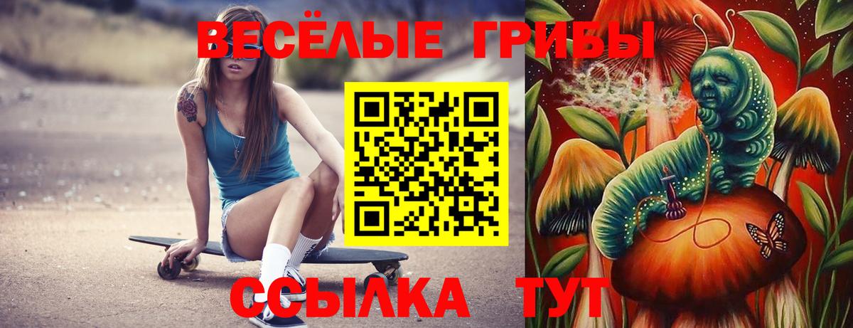 Псилоцибиновые грибы GOLDEN TEACHER Лосино-Петровский